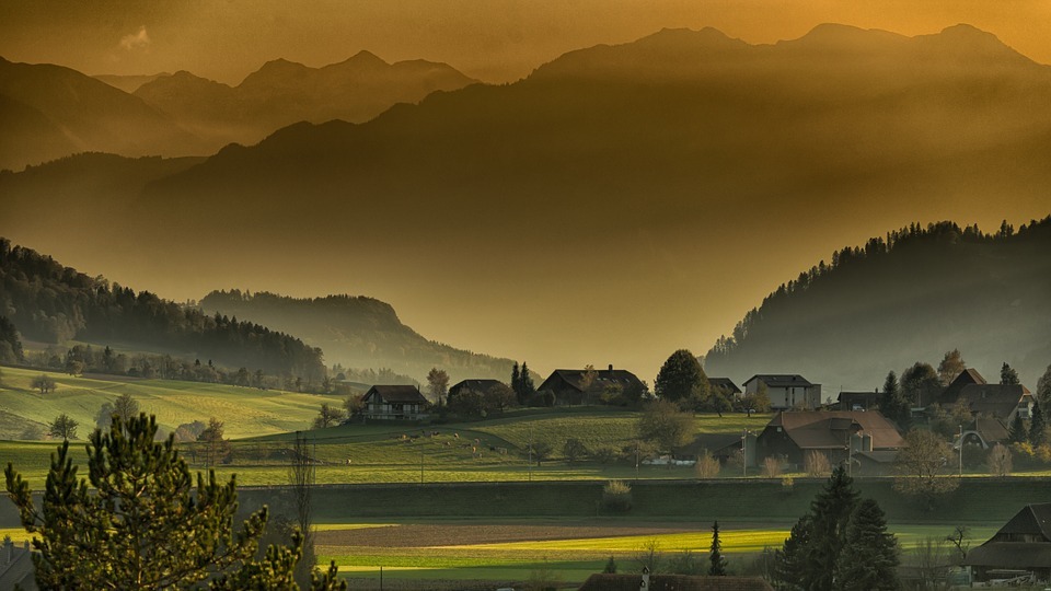 a community in a field