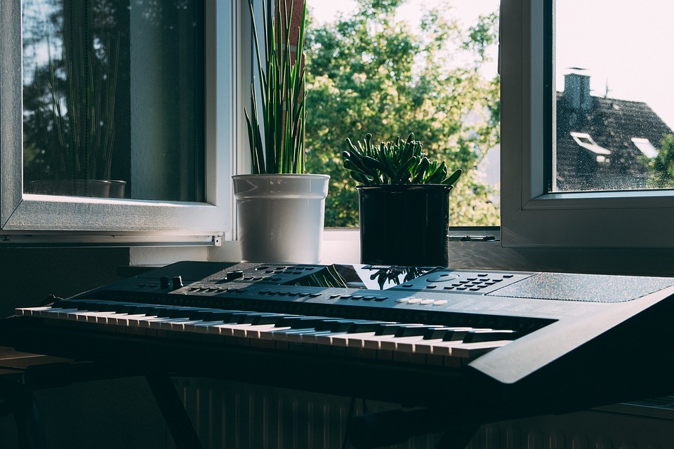 a piano, potted plants on a windowsill
