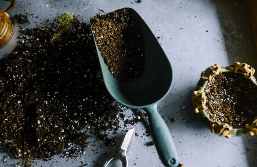 a small spade used in gardening