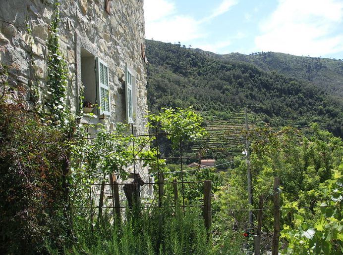 The Restoration of Torri Superiore 