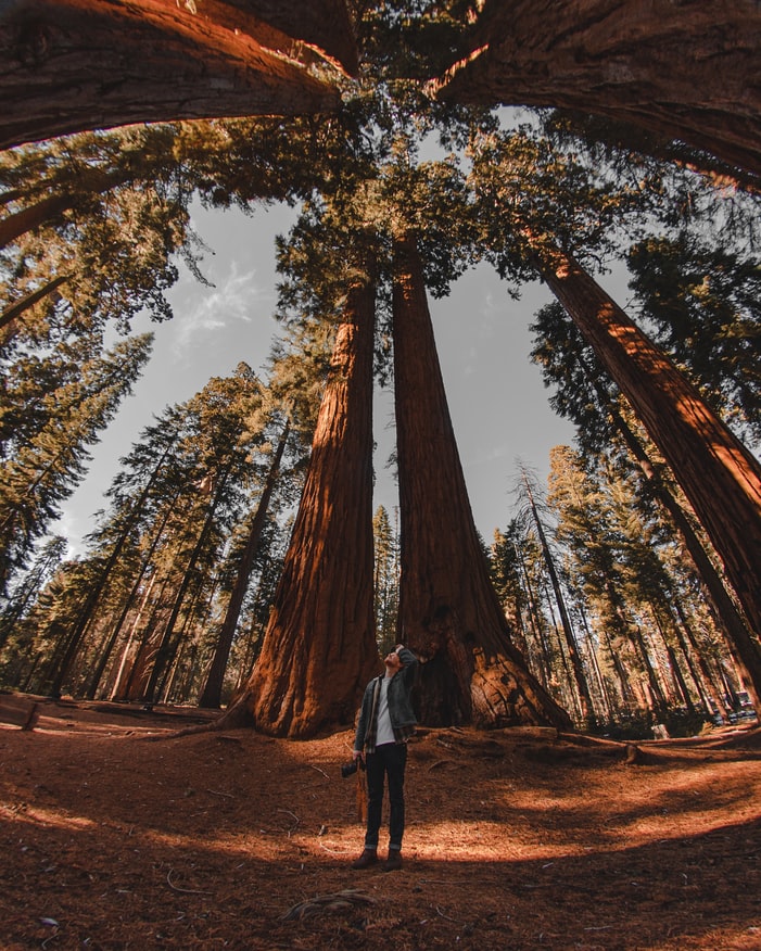 Learn About Three Rivers, Oregon