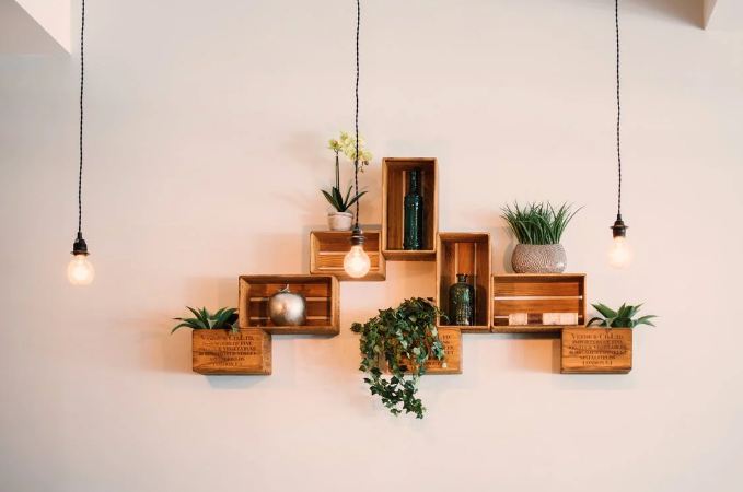 crates with plants mounted on the wall; bulbs hanging from wires