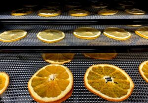 oranges sliced up for dehydrating