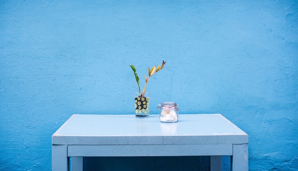 blue wall, blue table, plant in a vase, container jar