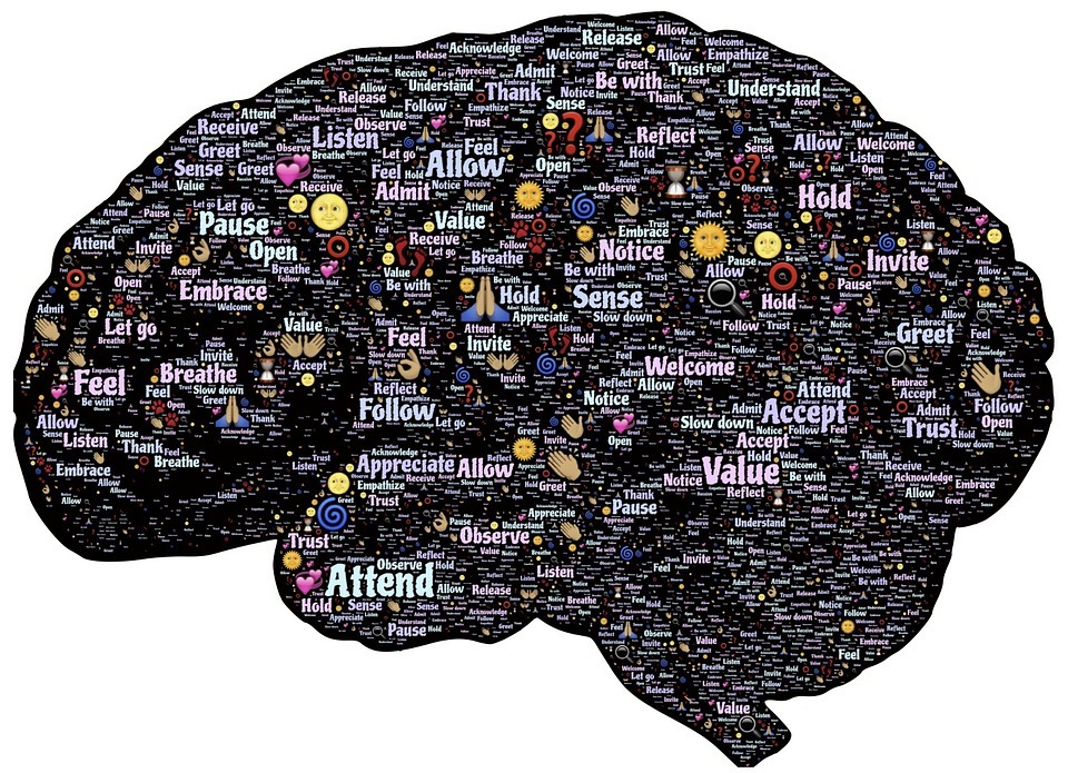 outline of a brain with words inside